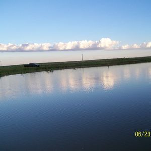 Meet your Posher, Darla